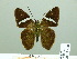  ( - HESP-EB 02480)  @12 [ ] Copyright (2010) Ernst Brockmann Research Collection of Ernst Brockmann