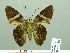  ( - HESP-EB 02486)  @12 [ ] Copyright (2010) Ernst Brockmann Research Collection of Ernst Brockmann