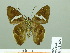  ( - HESP-EB 02489)  @12 [ ] Copyright (2010) Ernst Brockmann Research Collection of Ernst Brockmann