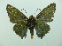  ( - HESP-EB 02 601)  @14 [ ] Copyright (2012) Ersnt Brockmann Research Collection of Ernst Brockmann
