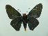  ( - HESP-EB 02 602)  @13 [ ] Copyright (2012) Ersnt Brockmann Research Collection of Ernst Brockmann