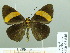  ( - HESP-EB 02 646)  @12 [ ] Copyright (2012) Ersnt Brockmann Research Collection of Ernst Brockmann