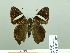  ( - HESP-EB 02 689)  @13 [ ] Copyright (2012) Ersnt Brockmann Research Collection of Ernst Brockmann