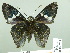  ( - HESP-EB 02 702)  @13 [ ] Copyright (2012) Ersnt Brockmann Research Collection of Ernst Brockmann