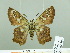  ( - HESP-EB 02 709)  @12 [ ] Copyright (2012) Ersnt Brockmann Research Collection of Ernst Brockmann