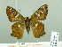  ( - HESP-EB 02 709)  @13 [ ] Copyright (2012) Ersnt Brockmann Research Collection of Ernst Brockmann