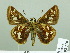  ( - HESP-EB 02 710)  @12 [ ] Copyright (2012) Ersnt Brockmann Research Collection of Ernst Brockmann