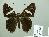  ( - HESP-EB 02 716)  @14 [ ] Copyright (2012) Ersnt Brockmann Research Collection of Ernst Brockmann