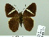  ( - HESP-EB 02 717)  @12 [ ] Copyright (2012) Ersnt Brockmann Research Collection of Ernst Brockmann