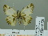  ( - HESP-EB 02 720)  @12 [ ] Copyright (2012) Ersnt Brockmann Research Collection of Ernst Brockmann