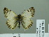  ( - HESP-EB 02 720)  @12 [ ] Copyright (2012) Ersnt Brockmann Research Collection of Ernst Brockmann