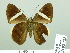  ( - HESP-EB 02 722)  @12 [ ] Copyright (2012) Ersnt Brockmann Research Collection of Ernst Brockmann