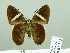  ( - HESP-EB 02 723)  @12 [ ] Copyright (2012) Ersnt Brockmann Research Collection of Ernst Brockmann