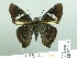  ( - HESP-EB 02 801)  @12 [ ] Copyright (2012) Ersnt Brockmann Research Collection of Ernst Brockmann