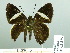  ( - HESP-EB 02 815)  @13 [ ] Copyright (2012) Ersnt Brockmann Research Collection of Ernst Brockmann