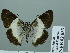  ( - HESP-EB 02 833)  @13 [ ] Copyright (2012) Ersnt Brockmann Research Collection of Ernst Brockmann