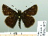  ( - HESP-EB 02 857)  @13 [ ] Copyright (2012) Ersnt Brockmann Research Collection of Ernst Brockmann