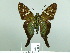  ( - HESP-EB 02 868)  @14 [ ] Copyright (2012) Ersnt Brockmann Research Collection of Ernst Brockmann