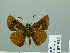  ( - HESP-EB 02 870)  @12 [ ] Copyright (2012) Ersnt Brockmann Research Collection of Ernst Brockmann