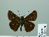  ( - HESP-EB 02 870)  @13 [ ] Copyright (2012) Ersnt Brockmann Research Collection of Ernst Brockmann