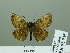  ( - HESP-EB 02 935)  @13 [ ] Copyright (2012) Ersnt Brockmann Research Collection of Ernst Brockmann