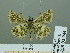  ( - HESP-EB 02 944)  @13 [ ] Copyright (2012) Ersnt Brockmann Research Collection of Ernst Brockmann