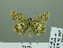  ( - HESP-EB 02 945)  @13 [ ] Copyright (2012) Ersnt Brockmann Research Collection of Ernst Brockmann