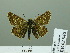  ( - HESP-EB 02 945)  @13 [ ] Copyright (2012) Ersnt Brockmann Research Collection of Ernst Brockmann