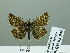  ( - HESP-EB 02 946)  @13 [ ] Copyright (2012) Ersnt Brockmann Research Collection of Ernst Brockmann