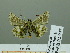  ( - HESP-EB 02 947)  @13 [ ] Copyright (2012) Ersnt Brockmann Research Collection of Ernst Brockmann