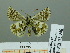  ( - HESP-EB 02 948)  @14 [ ] Copyright (2012) Ersnt Brockmann Research Collection of Ernst Brockmann