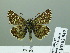  ( - HESP-EB 02 949)  @14 [ ] Copyright (2012) Ersnt Brockmann Research Collection of Ernst Brockmann