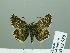  ( - HESP-EB 02 950)  @14 [ ] Copyright (2012) Ersnt Brockmann Research Collection of Ernst Brockmann