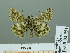  ( - HESP-EB 02 951)  @13 [ ] Copyright (2012) Ersnt Brockmann Research Collection of Ernst Brockmann