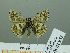  ( - HESP-EB 02 952)  @13 [ ] Copyright (2012) Ersnt Brockmann Research Collection of Ernst Brockmann