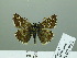  ( - HESP-EB 02 952)  @13 [ ] Copyright (2012) Ersnt Brockmann Research Collection of Ernst Brockmann