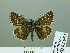  ( - HESP-EB 02 953)  @14 [ ] Copyright (2012) Ersnt Brockmann Research Collection of Ernst Brockmann