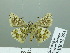  ( - HESP-EB 02 954)  @13 [ ] Copyright (2012) Ersnt Brockmann Research Collection of Ernst Brockmann