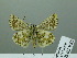  ( - HESP-EB 02 955)  @13 [ ] Copyright (2012) Ersnt Brockmann Research Collection of Ernst Brockmann