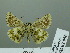  ( - HESP-EB 02 956)  @14 [ ] Copyright (2012) Ersnt Brockmann Research Collection of Ernst Brockmann