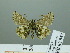  ( - HESP-EB 02 957)  @13 [ ] Copyright (2012) Ersnt Brockmann Research Collection of Ernst Brockmann