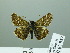  ( - HESP-EB 02 957)  @13 [ ] Copyright (2012) Ersnt Brockmann Research Collection of Ernst Brockmann