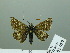  ( - HESP-EB 02 959)  @13 [ ] Copyright (2012) Ersnt Brockmann Research Collection of Ernst Brockmann