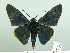  ( - HESP-EB 02 973)  @13 [ ] Copyright (2012) Ersnt Brockmann Research Collection of Ernst Brockmann