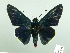  ( - HESP-EB 02 973)  @14 [ ] Copyright (2012) Ersnt Brockmann Research Collection of Ernst Brockmann