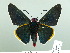  ( - HESP-EB 02 974)  @13 [ ] Copyright (2012) Ersnt Brockmann Research Collection of Ernst Brockmann