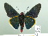  ( - HESP-EB 02 975)  @14 [ ] Copyright (2012) Ersnt Brockmann Research Collection of Ernst Brockmann