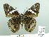  ( - HESP-EB 03 001)  @13 [ ] Copyright (2012) Ersnt Brockmann Research Collection of Ernst Brockmann