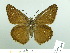  ( - HESP-EB 03 005)  @13 [ ] Copyright (2012) Ersnt Brockmann Research Collection of Ernst Brockmann