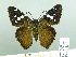  ( - HESP-EB 03 011)  @14 [ ] Copyright (2012) Ersnt Brockmann Research Collection of Ernst Brockmann